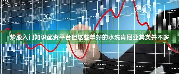 炒股入门知识配资平台但这些年好的水洗肯尼亚其实并不多