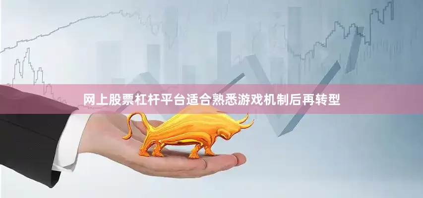 网上股票杠杆平台适合熟悉游戏机制后再转型
