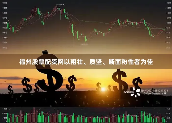 福州股票配资网以粗壮、质坚、断面粉性者为佳