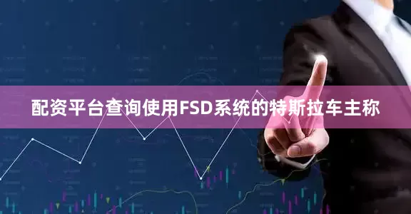 配资平台查询使用FSD系统的特斯拉车主称